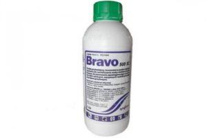 Instructies voor het gebruik van fungicide Bravo, samenstelling en vorm van afgifte van het product