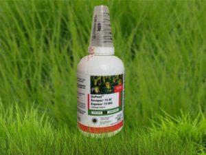 Herbicido ekspreso, išsiskyrimo sudėties ir formos naudojimo instrukcijos