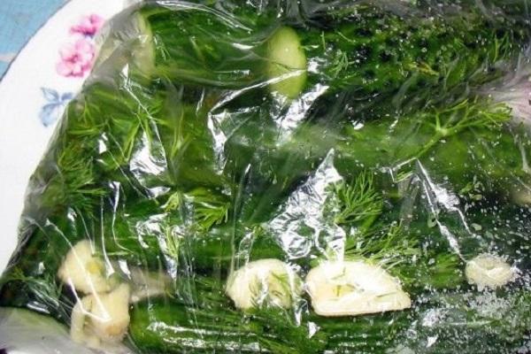 verduras en una bolsa