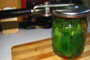 Een stapsgewijs recept voor ingelegde komkommers in Berlijnse stijl voor de winter