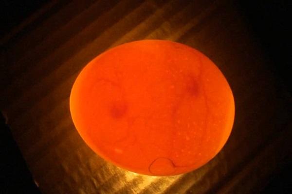 orange cirkel