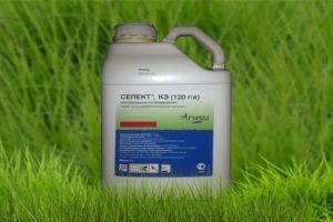 Pokyny pro použití herbicidů Vyberte, složení a formu uvolňování