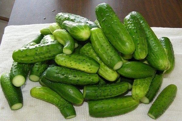 groene komkommers