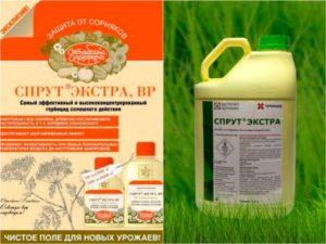 Nepertraukiamo veikimo herbicido „Sprut Extra“ naudojimo būdas ir instrukcijos