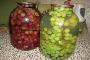 TOP 2 opskrifter på konserverede druer i sirup til vinteren