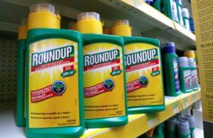 Nepertraukiamo veikimo herbicido Roundup naudojimo prieš piktžoles instrukcijos ir kaip teisingai veistis