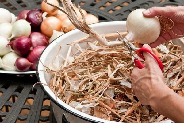 4 geriausi būdai tinkamai išdžiovinti svogūnus namuose žiemai