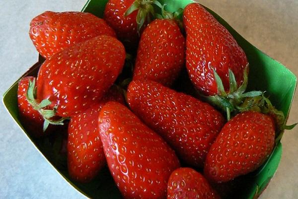strawberry gariguetta