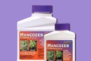 A Mancozeb gombaölő szer használati utasításai, a gyógyszer összetétele és hatása