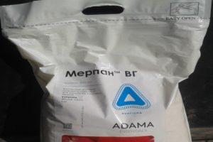 Návod na použitie a mechanizmus účinku fungicídu Merpan, miera spotreby