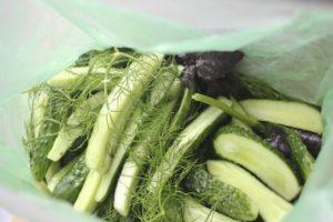Recept för steg för steg tillagning av shaker gurka