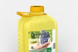 Instruktioner för användning av fungicid Orvego, beskrivning av produkten och analoger