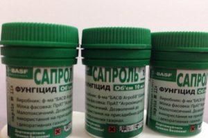 Pokyny na použitie fungicídu Saprol, miery spotreby a analógov