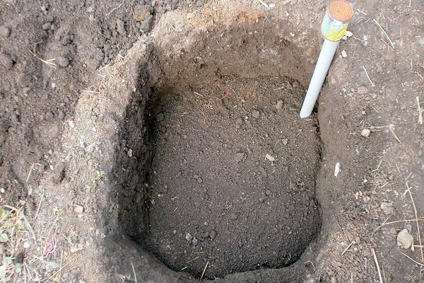 gräva ett hål