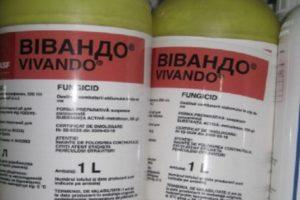 Instructies voor het gebruik van het fungicide Vivando, consumptiesnelheid en analogen