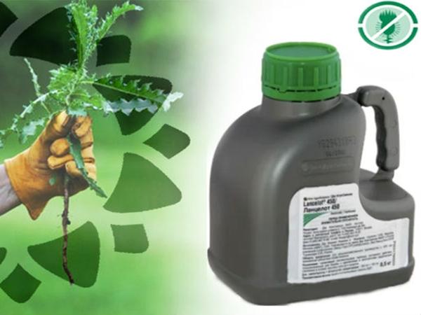 herbicida lancelot 450