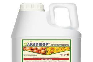 Instruktioner för användning och verkningsmekanism för herbicidet Aksifor