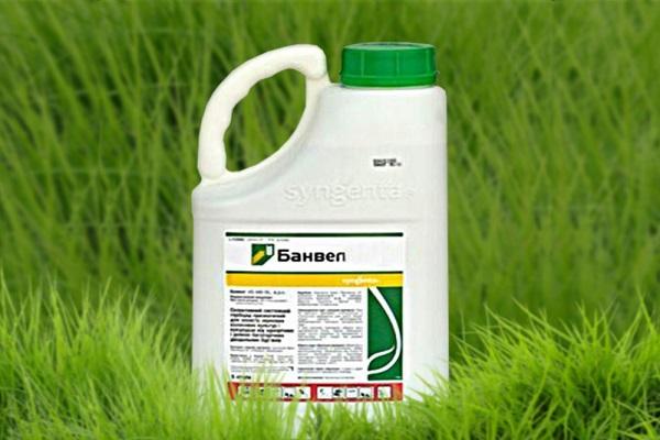 herbicid Banvel