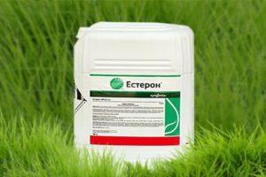 Herbicido Esteron naudojimo instrukcijos, veikimo mechanizmas ir suvartojimo normos