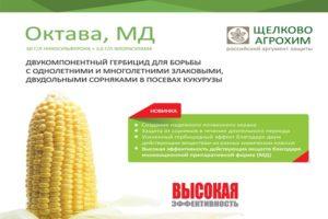 Instrucciones de uso del herbicida Octava, tasas de consumo y análogos.
