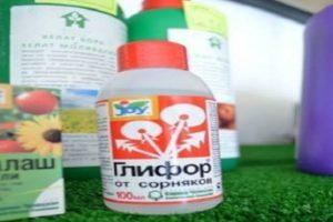 Instructies voor het gebruik van Glyphor tegen onkruid, beschrijving van de herbiciden en consumptiesnelheden