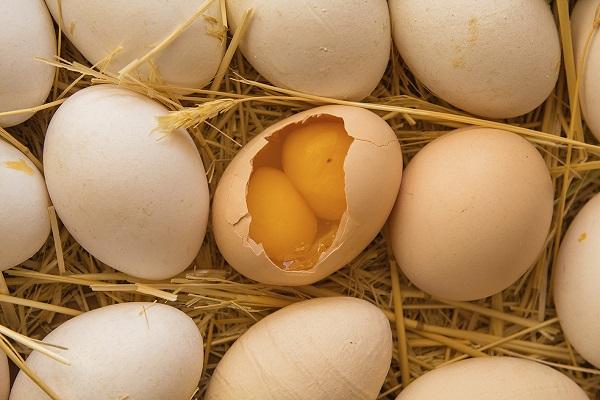 пилећа јаја