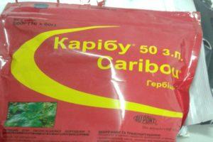Instruktioner för användning av herbicid Caribou, verkningsmekanism och konsumtionshastighet
