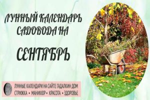 Månskärningskalender med planteringar av trädgårdsmästaren och trädgårdsmästaren för september 2020