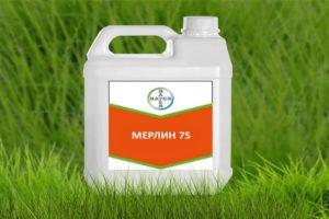Herbicido Merlin naudojimo instrukcijos, vartojimo normos ir darbinio mišinio paruošimas