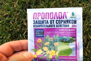 Naudojimo instrukcijos herbicido Propolol piktžolėms naikinti