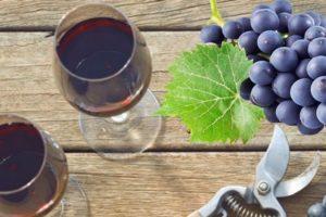 6 steg-för-steg-recept för hur man gör vin från Isabella-druvor hemma