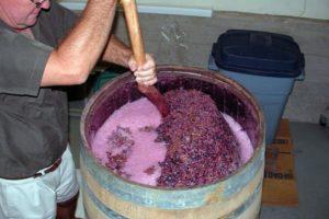 8 enkla recept för att tillverka vin från druvor hemma