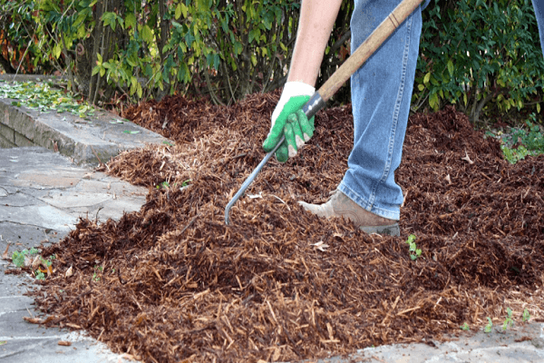 jord mulch