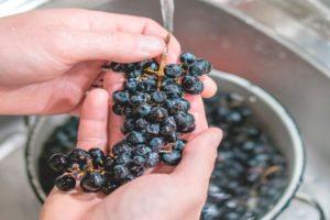 Är det nödvändigt att tvätta druvor för att göra vin, regler och funktioner