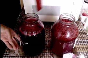 4 најбоља рецепта за прављење воћног и бобичастог вина код куће