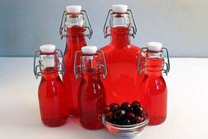 6 enkla recept för att göra färskt tranbärsvin hemma