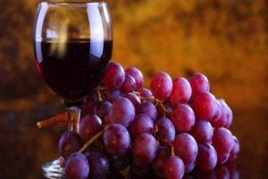 Det bästa receptet för att göra vin från Taifidruvor hemma