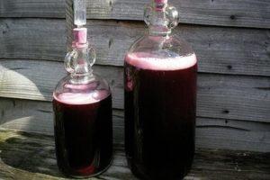 TOP 6-recept för att tillverka vin från druvsaft och hur man gör det hemma