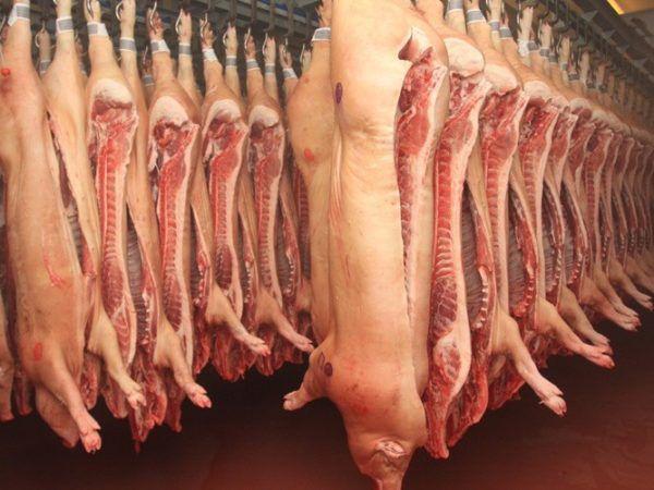rendimiento de carne de cerdo