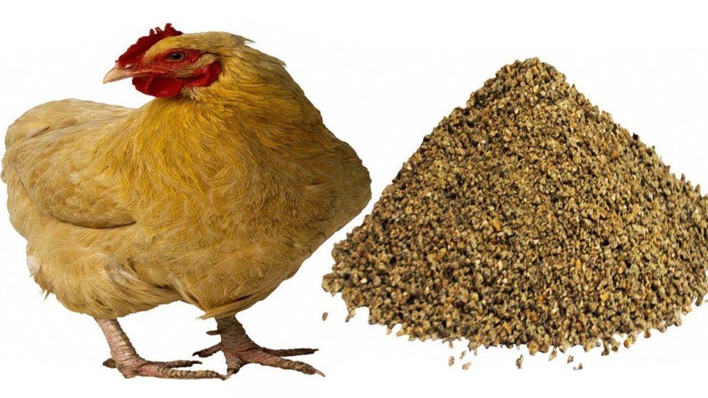 kŕmne zmesi pre kurčatá
