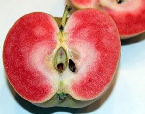 Περιγραφή και χαρακτηριστικά των μήλων Pink Pearl, κανόνες φύτευσης και φροντίδας