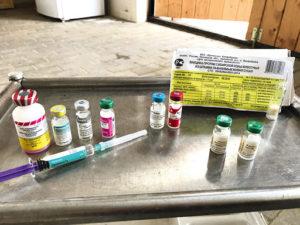 تعليمات للقاح ضد التهاب الرئة الأنفية في الخيول وتكوينها