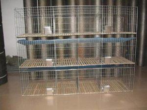 Typer og regler for fremstilling af DIY-mesh-bure til kaniner