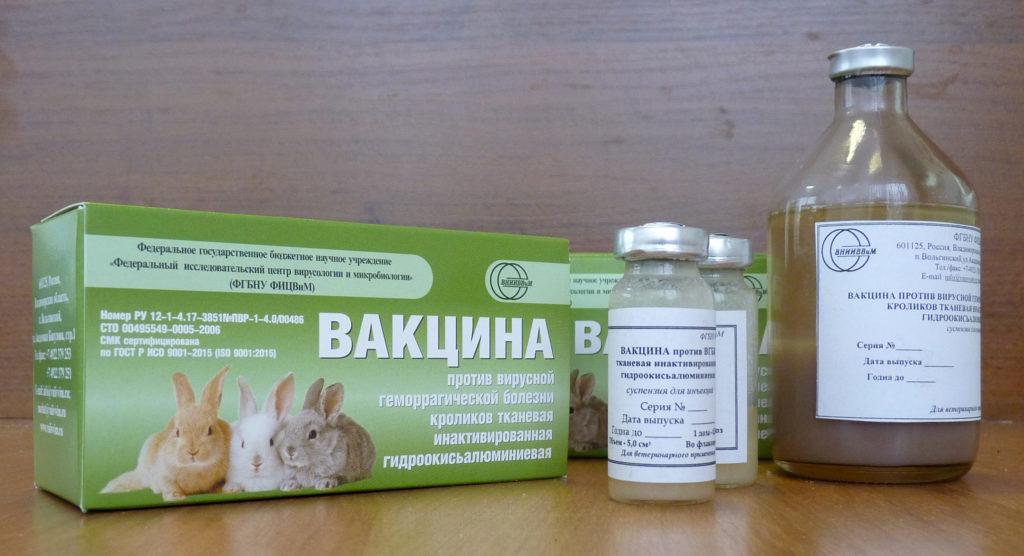 vaccin de lapin