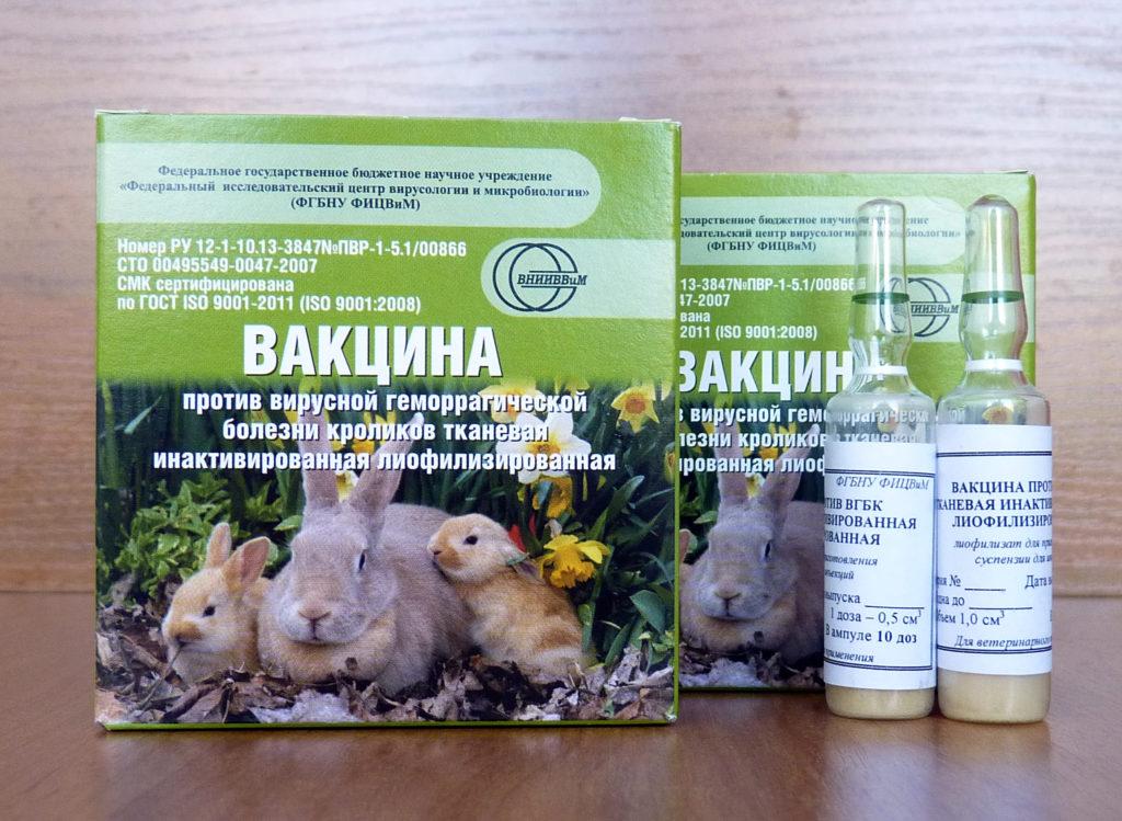 Kaninchen-Impfstoff