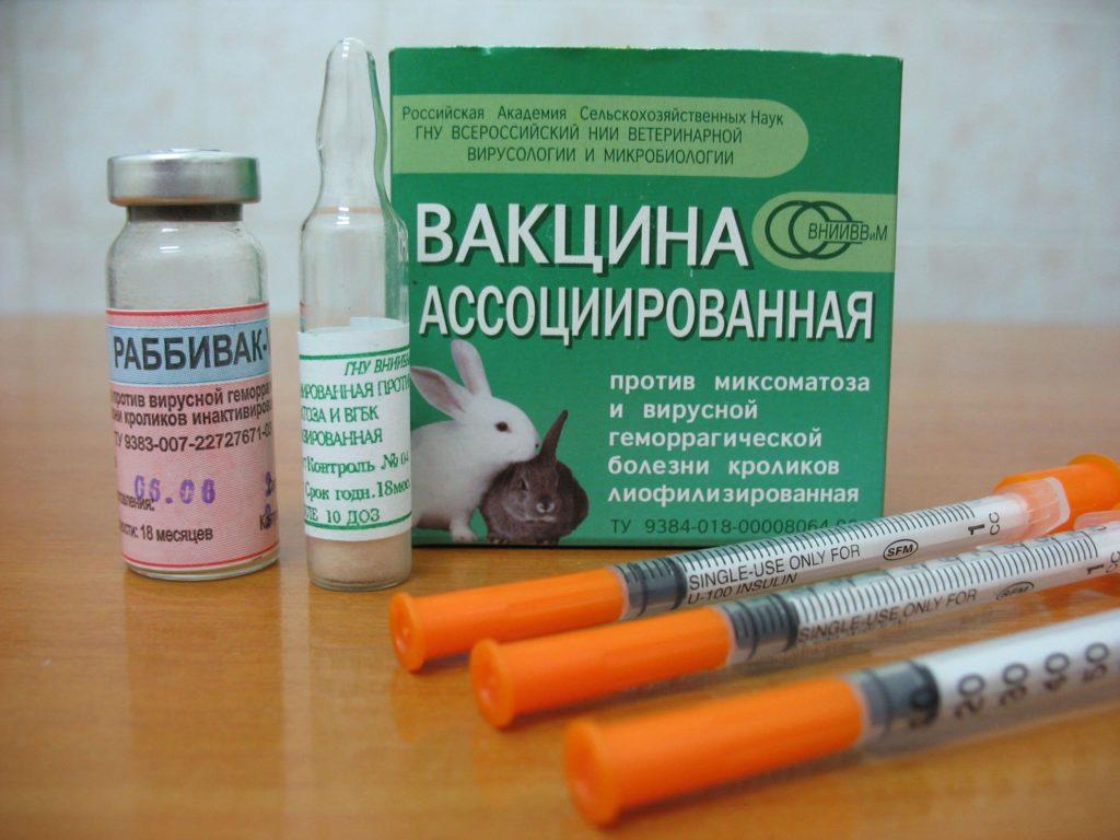 kaninvaccin