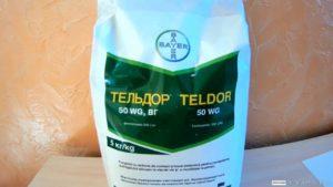 Istruzioni per l'uso del fungicida Teldor, compatibilità e analoghi