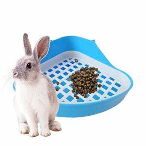Cómo entrenar a tu conejo para que use la caja de arena en casa y qué no hacer