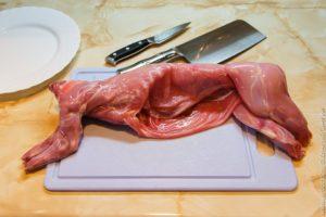 Hur man klipper en kanin hemma, scheman och metoder för nybörjare