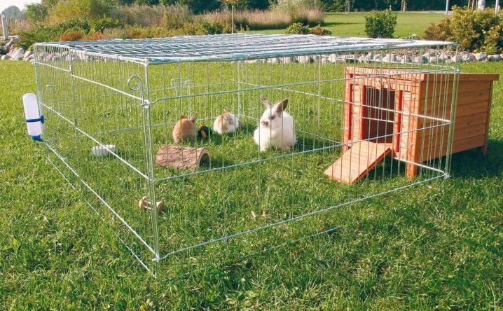Gör-det-själv-konstruktion av en voljär för kaniner och avel hemma